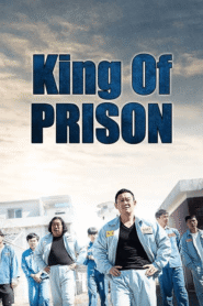 King of Prison | 2020 | Hindi Dubbed Complete  FUll HD